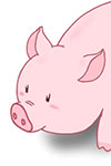 pig_01